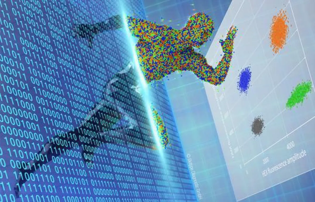 2D-Dot-Plot: Vier Fluoreszenzcluster ermöglichen die quantitative Chimärismus-Diagnostik