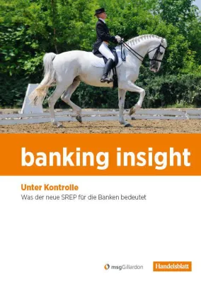 Bild: Die Studie banking insight 2015 von msgGillardon und Handelsblatt ist erschienen