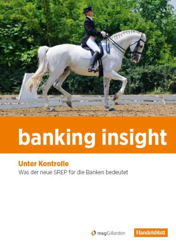 Die Studie banking insight 2015 von msgGillardon und Handelsblatt ist erschienen Bild: Die Studie banking insight 2015 von msgGillardon und Handelsblatt ist erschienen