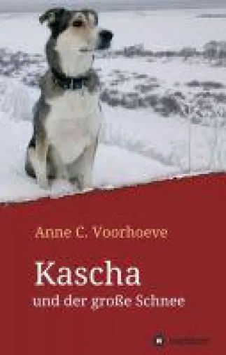 Bild: Kascha und der große Schnee - ein Jugend-Roman erzählt über eine Sinti-Familie in den 70er Jahren