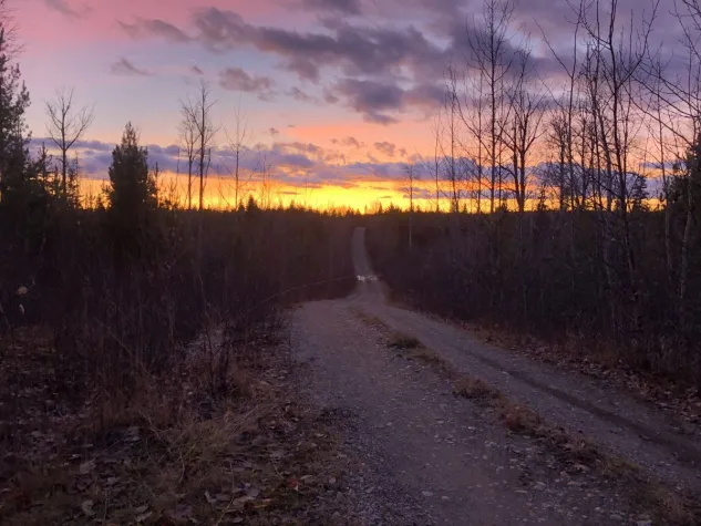 Spiel es noch einmal, Frank! Golden Cariboo startet Bohrkampagne 2024 Bild: Spiel es noch einmal, Frank! Golden Cariboo startet Bohrkampagne 2024