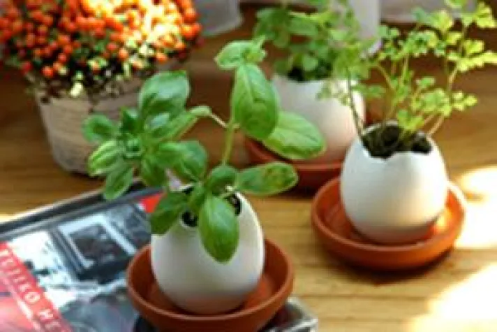 Bild: Trendige und originelle Ideen für’s Osternest