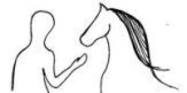 Pferdegestütztes Persönlichkeitstraining - was Manager von Pferden lernen Bild: Pferdegestütztes Persönlichkeitstraining - was Manager von Pferden lernen