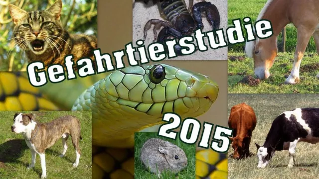 Bild: Gefahrtierstudie: Domestizierte Haustiere sind gefährlicher als Exoten