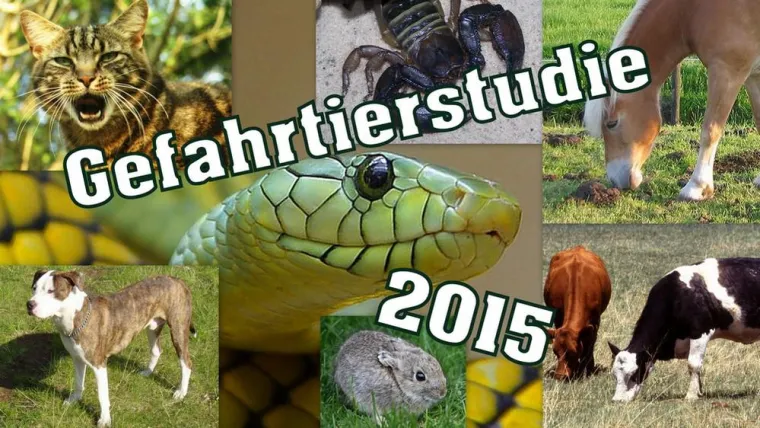 Bild: Gefahrtierstudie: Domestizierte Haustiere sind gefährlicher als Exoten