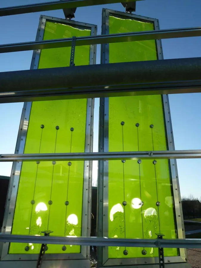 Die Luftblasen im Bioreaktor sind CO2. Das Gas regt das Wachstum der Algen an. Bn: SSC GmbH