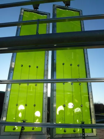 Bild: Bioreaktoren-Fassade als Energielieferant
