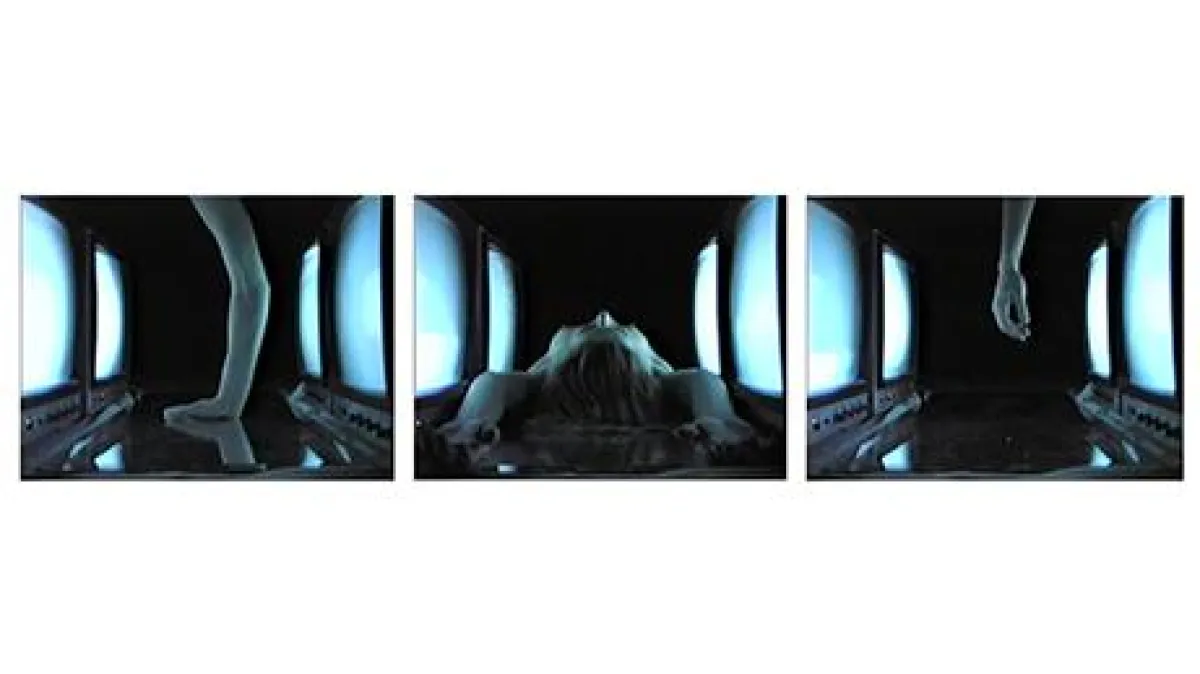 Nives Widauer - Monitorlove, 1989