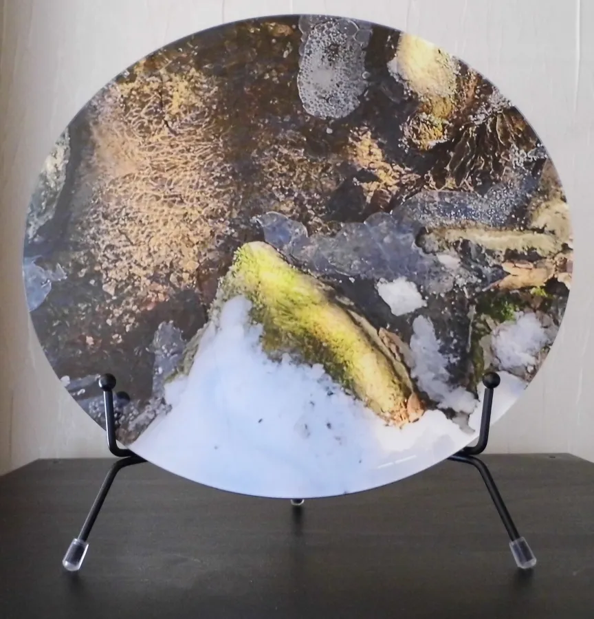 Denkpause! Entdecke Welten und Wesen! (© Peter Höfl)