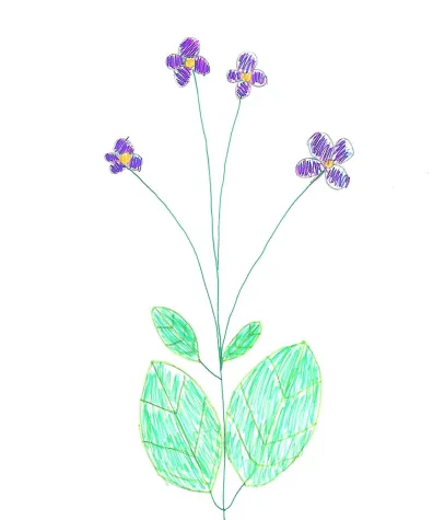 Bild: Corona Frühblüher Challenge