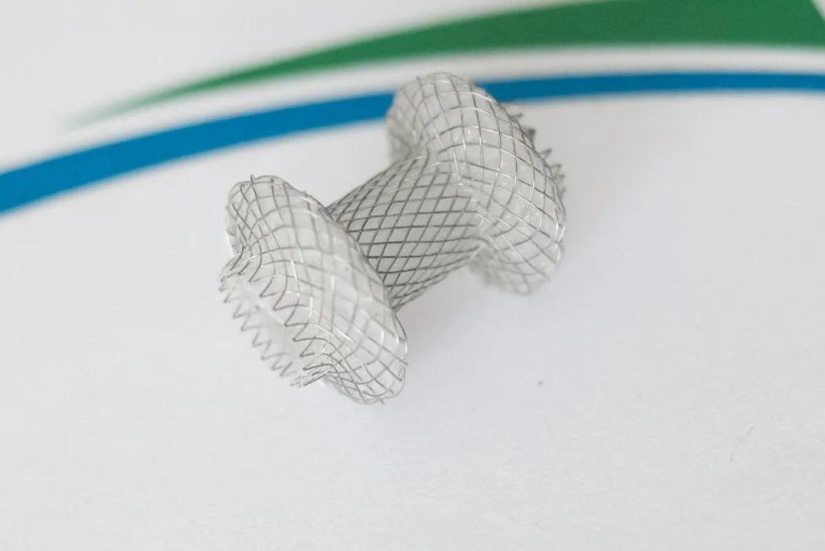 Mit diesem Stent kann eine Drainage zwischen inneren Organen gelegt werden. Bild: Kristin Dolk