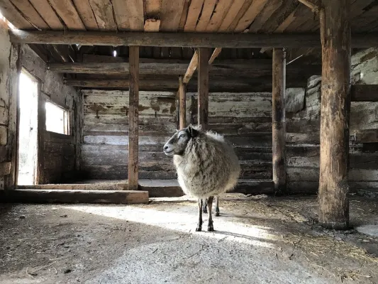 Bild: Blue Sky Thinking | Bewegte Bilder von Izzy Dempsey, Johanna Karlin und Maria Marshall