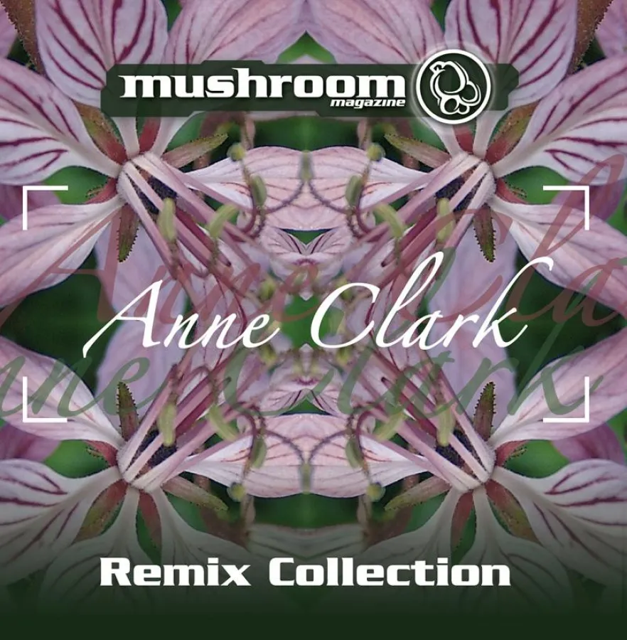 Die Anne Clark Remix Collection ist eine Zusammenstellung der Gewinnertracks des letzten Contests, der von Oktober 2006 bis Februar 2007 stattfand.