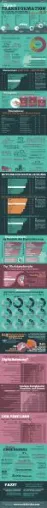 Bild: TechDivision veröffentlicht Infografik zur Digitalen Transformation in Deutschland