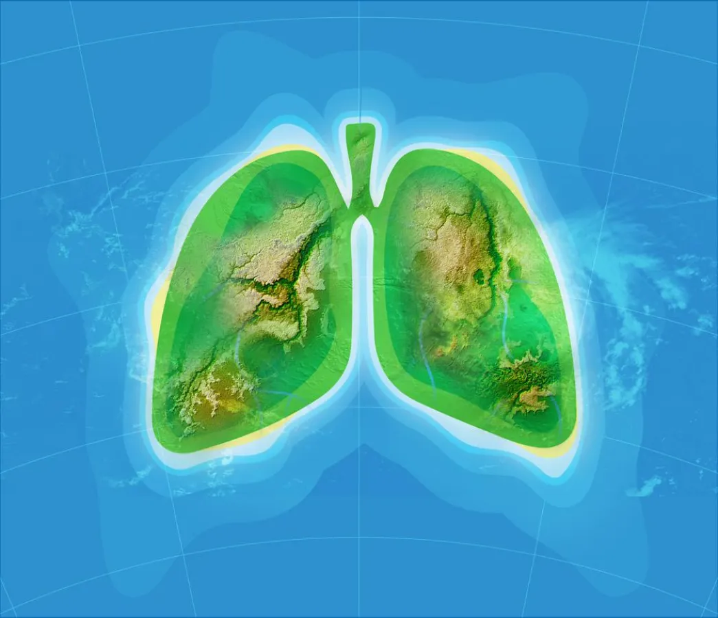 Husten kann viele Ursachen haben. Meistens liegt eine Erkältungen zugrunde.