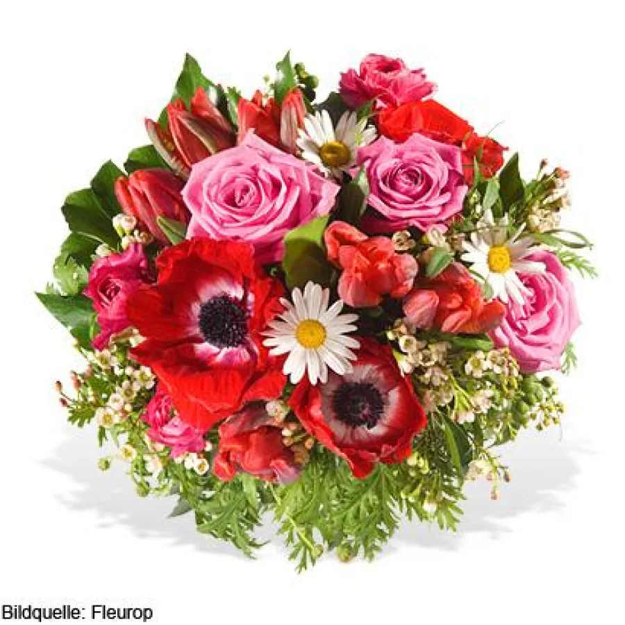 Strauß Wolke Sieben