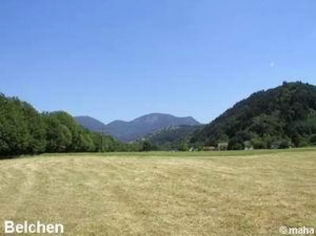 Belchen im Schwarzwald