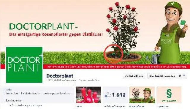 Bild: Die erfolgreiche DoctorPlant Facebook Seite