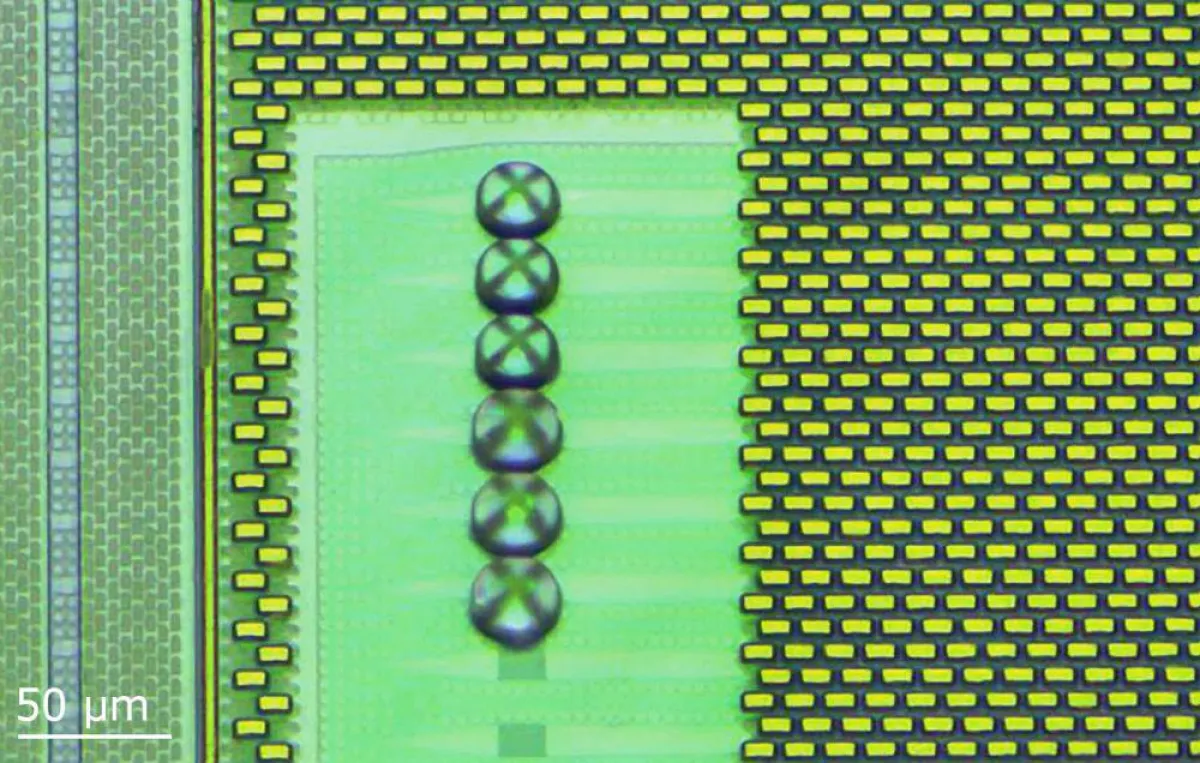 Optisches Mikroskopbild einer 3D gedruckten hemisphärischen Linse auf einen Photonik-Chip.