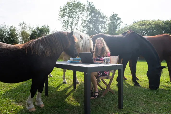 Bild: Der Weg zum Bestseller: Fokus statt Breite