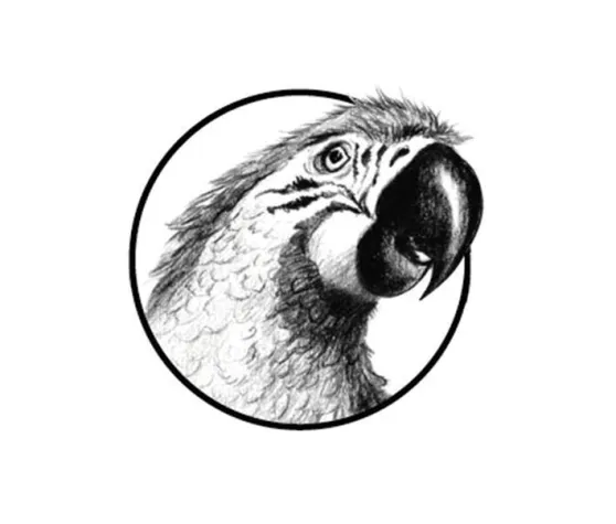 Bild: P&P Studios Label und Musikverlag