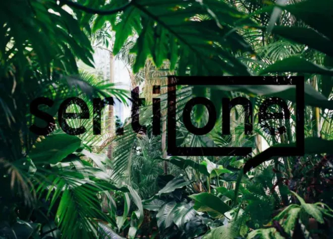 Bild: Was haben der Datendschungel und das Dschungelcamp gemeinsam?