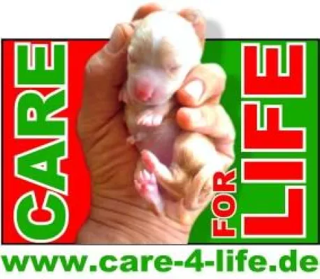 Bild: Großzügige Sachspende für Auslandstierschutz  - Neuer Internetauftritt von Care-4-life