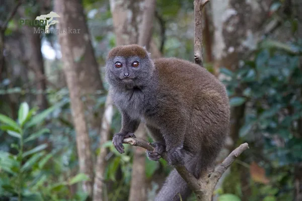 Bild: Madagaskar Kleingruppenreisen 2016