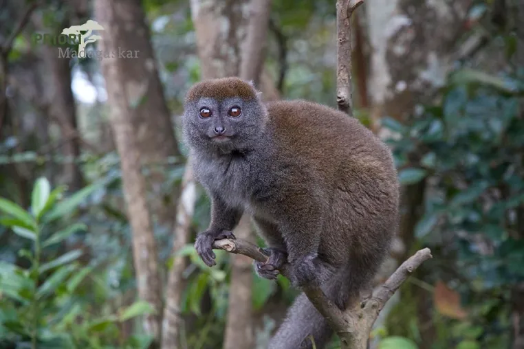 Bild: Madagaskar Kleingruppenreisen 2016