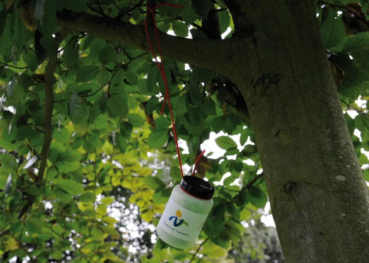 Die meisten Boxen hängen noch unentdeckt in Bäumen an niederrheinischen Radwegen.
