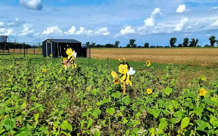 HanseWerk: SH Netz schafft landesweit in 253 Kommunen neue Lebensräume für Bienen Bild: HanseWerk: SH Netz schafft landesweit in 253 Kommunen neue Lebensräume für Bienen