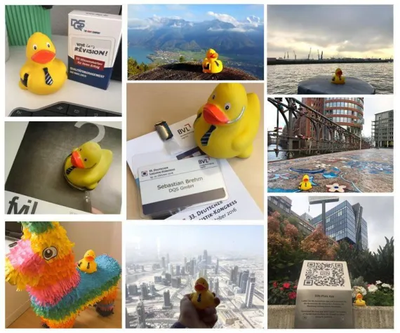 Bild: Ente ist Markenbotschafter des DQS-Competence Center Logistics