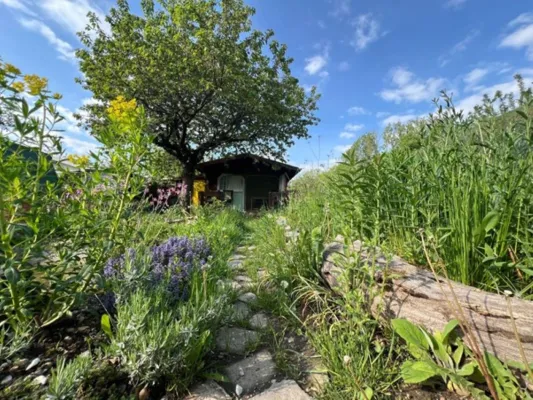 Bild: Bürgerwissenschaftsprojekt GartenDiv geht in zweite Runde - Start am Internationalen Tag der Biodiversität