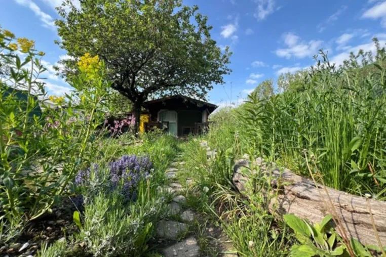 Bild: Bürgerwissenschaftsprojekt GartenDiv geht in zweite Runde - Start am Internationalen Tag der Biodiversität