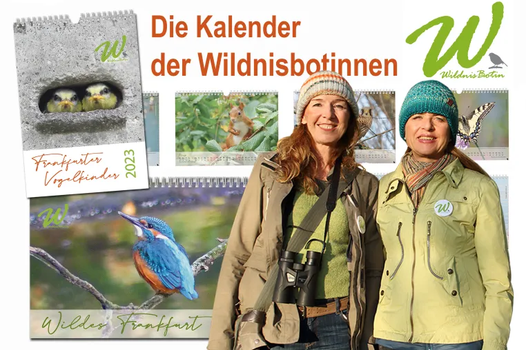 Die Kalender der Frankfurter Wildnisbotinnen Bild: Die Kalender der Frankfurter Wildnisbotinnen