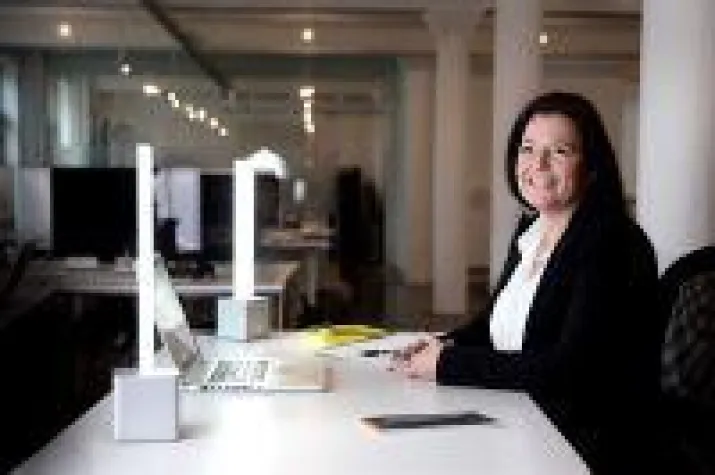 Bild: Tageslicht am Schreibtisch mit NEEDLITE