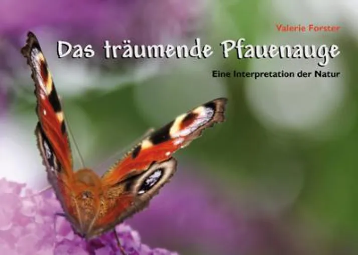 Bild: Das Glück der kleinen Dinge - Buchneuerscheinung "Das träumende Pfauenauge"