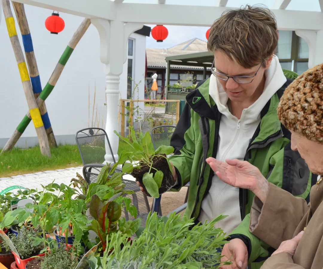 Therapiegärten als medikamentenfreie Alternativbehandlung bieten Ruhe, Orientierung und Normalität (© Dr. Sonia Teimann)