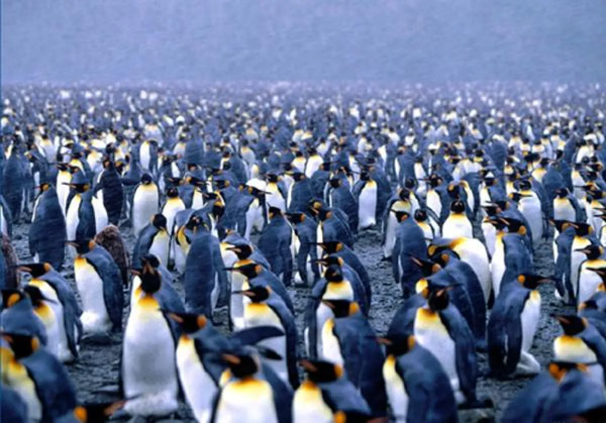 In der Differenzierung liegt die Kraft. Man muss es nur erkennen!