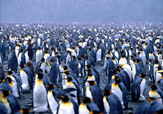 Bild: Mitarbeiter Motivation im Fokus von Firmenveranstaltungen