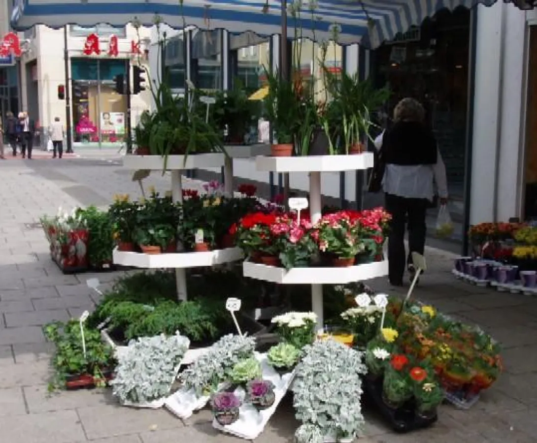 Sonderöffnungszeiten für Floristen  am Pfingstsonntag? Das neue Ladenschlussgesetz sieht an Feiertagen keine Ausnahme vor.