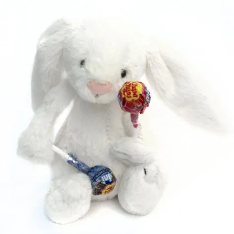 Bild: Ein Jahr kuscheligste Boten unter Teddybotschaft.de