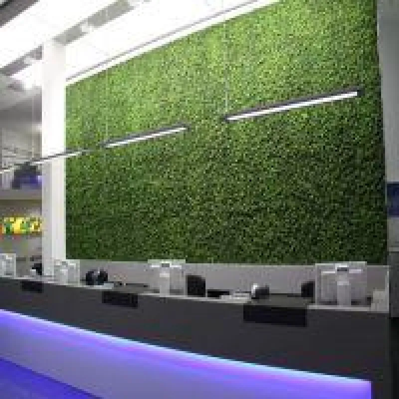 Grüne Wand von greenup