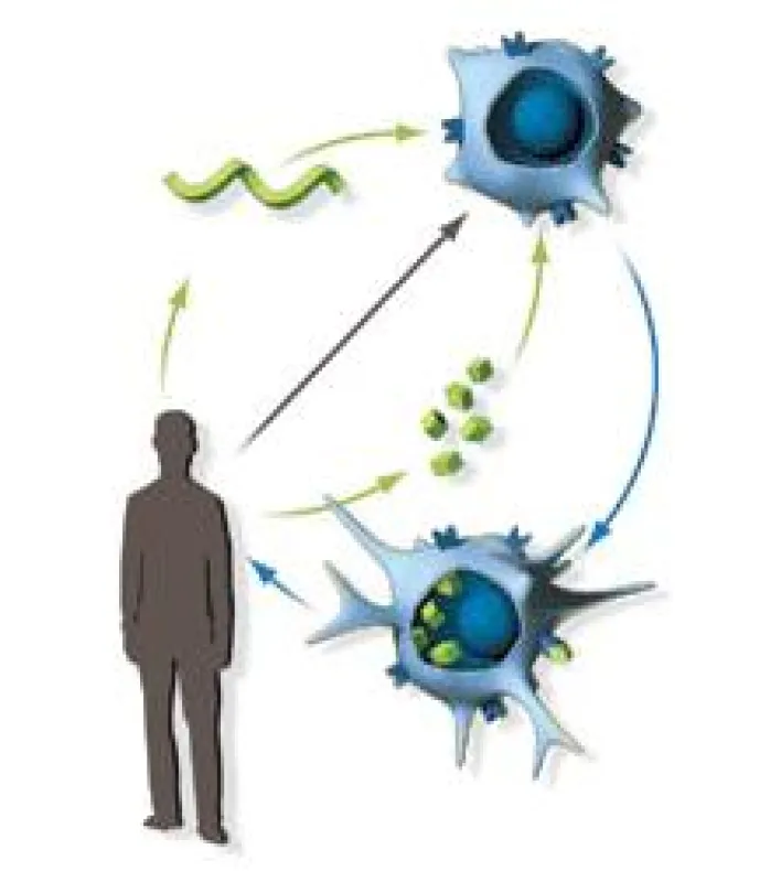 dendritische Zelltherapie kann helfen Gesund zu werden.