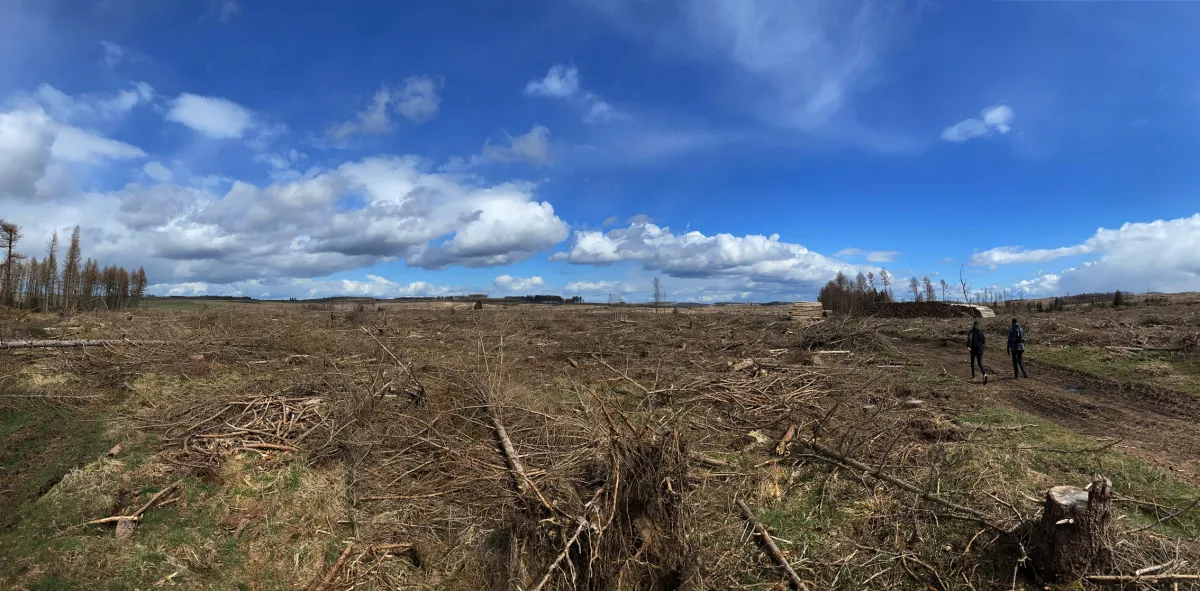 Zu bewaldende Fläche von Sunwave, Geschäftsführer Ralph Benecke (© Foto: Sunwave.de Reisen)