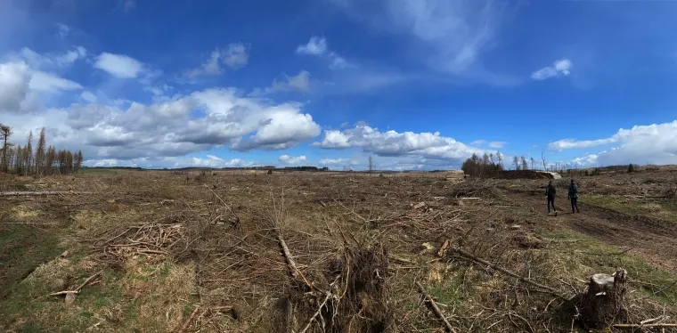 Bild: Sunwave unterstützt das Aufforstungsprojekt "Wald-ist-Klima"