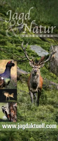 Bild: jagdaktuell.com - neues Portal für Jagd und Natur stellt sich vor