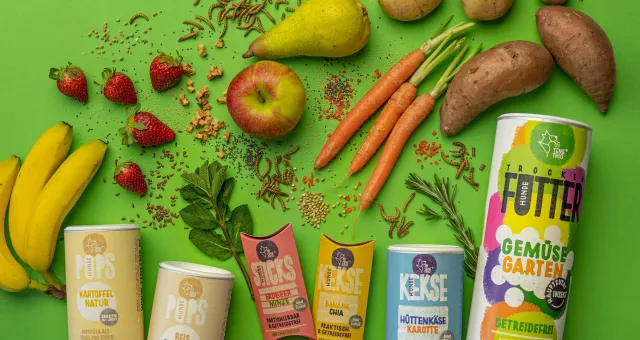 Damit kein Hundenapf leer bleibt: Hundefutterhersteller Tenetrio spendet an die Berliner Tiertafel Bild: Damit kein Hundenapf leer bleibt: Hundefutterhersteller Tenetrio spendet an die Berliner Tiertafel