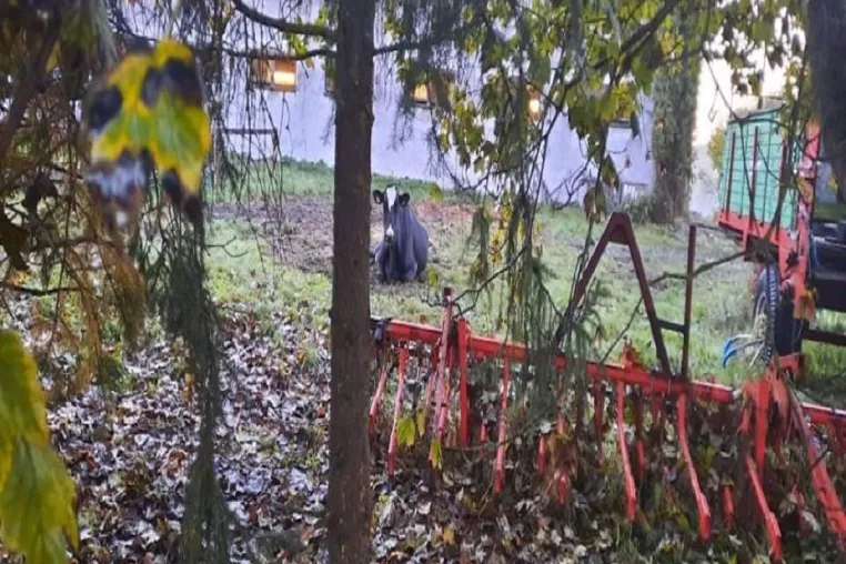 Tierquälerei in Themar: "Downer"-Kuh zum Sterben vor den Stall gelegt Bild: Tierquälerei in Themar: "Downer"-Kuh zum Sterben vor den Stall gelegt