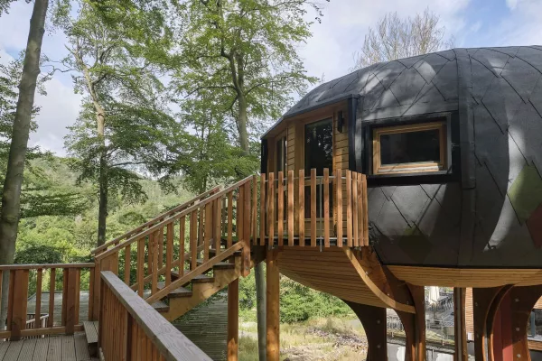 Bild:  Schönste Vorsätze für 2023 bei den Sonnenhotels